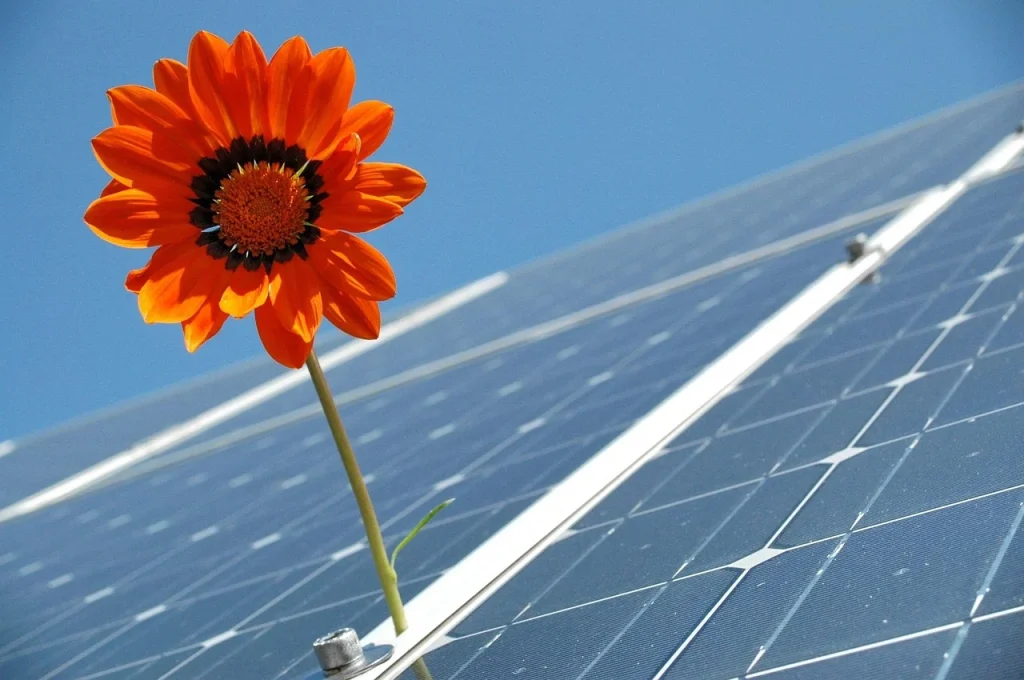 Is Solar Energy Renewable? Exploring the Facts