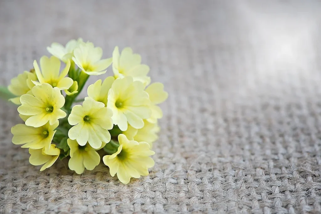 Key points