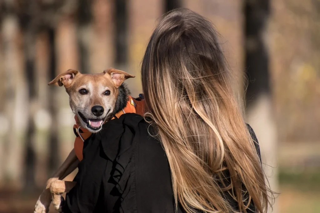 Safe checks for owners